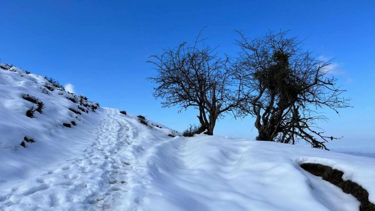 Casa Rural Kiko Asturias Bimenes Εξωτερικό φωτογραφία
